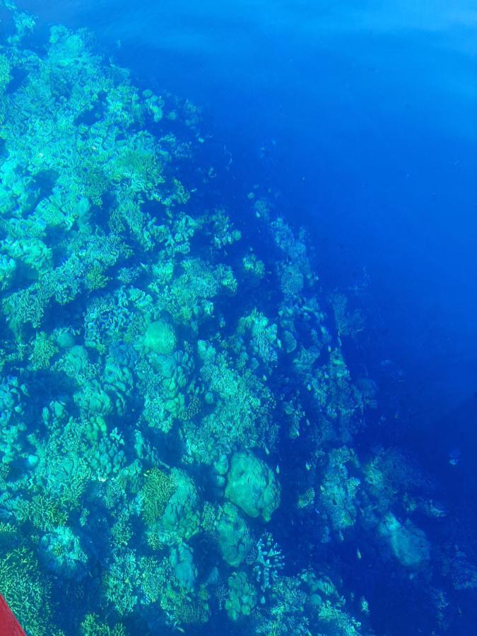 Blue Shark Divers Bunaken Buitenkant foto